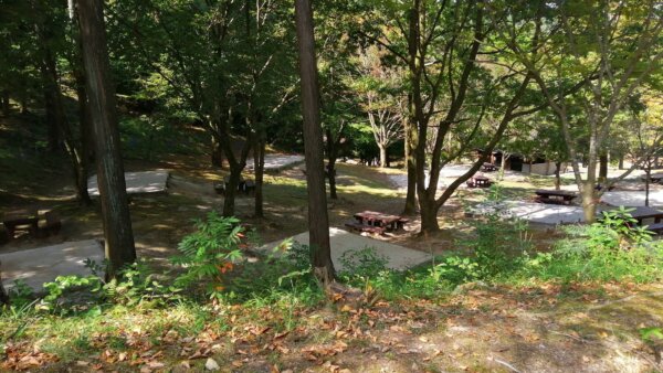 大野城いこいの森キャンプ場（福岡県） 詳細レポ&レビュー