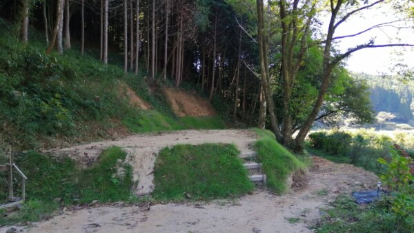 木立ちの丘3階段