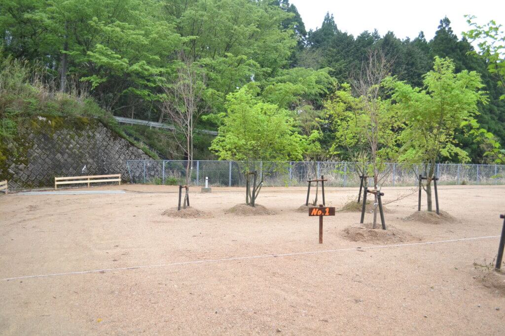 英彦山ガーデンキャンプ　区画サイト No.1