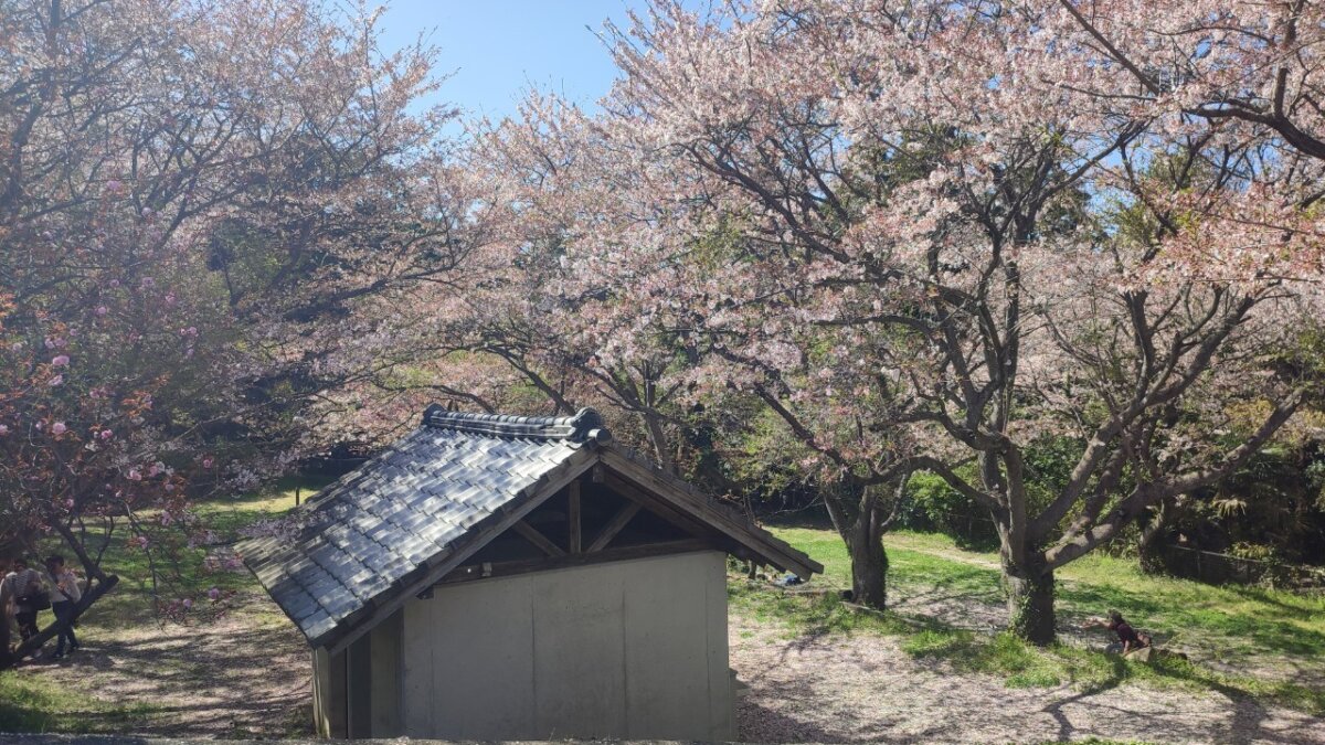 吉井百年公園キャンプ場