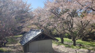 吉井百年公園キャンプ場（福岡県）詳細レポ＆レビュー