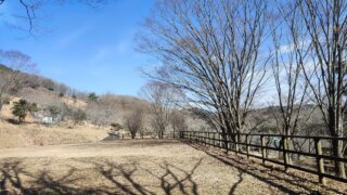 伏木公園キャンプ場（大分県・日田市）詳細レポ＆レビュー