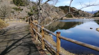 萩尾公園キャンプ場（大分県･日田市）詳細レポ＆レビュー