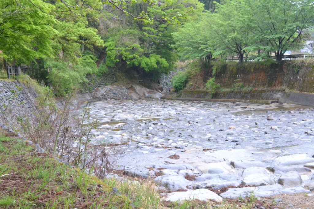 ポーン太の森キャンプ場 近くを流れる大肥川