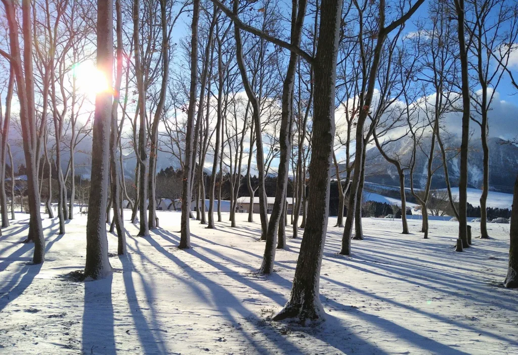 熊谷牧場・雛戸ブルーベリー・キャンプガーデン 冬の雪景色