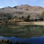奥耶馬渓憩いの森キャンプ場（大分県）詳細レポ＆レビュー