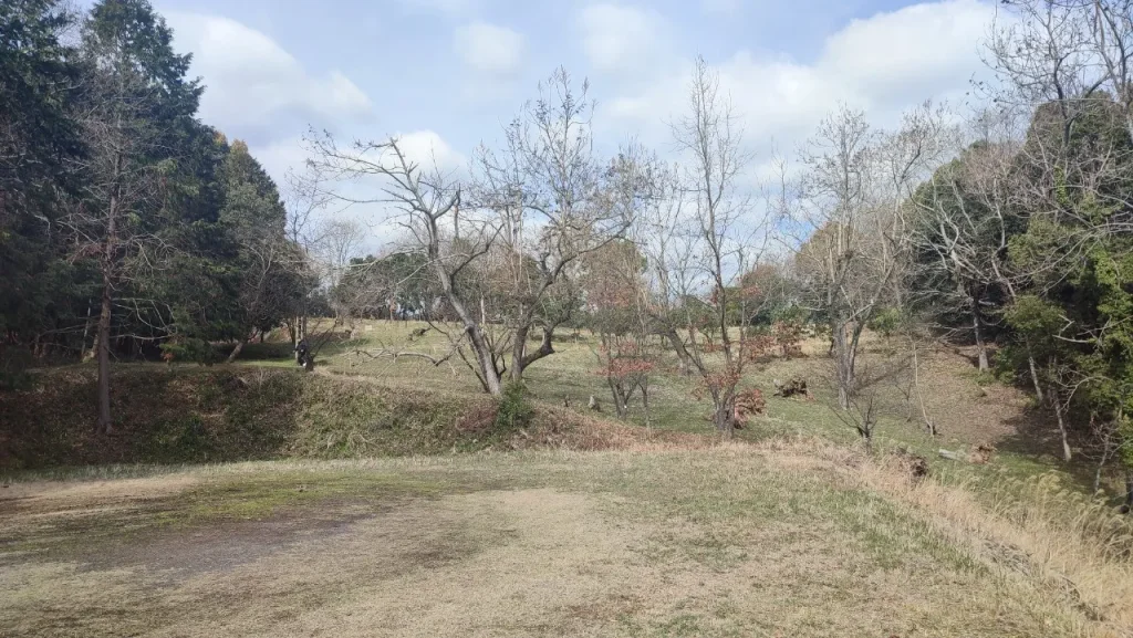 大池公園高台 キャンプ場kirari Aサイトの後方の景色