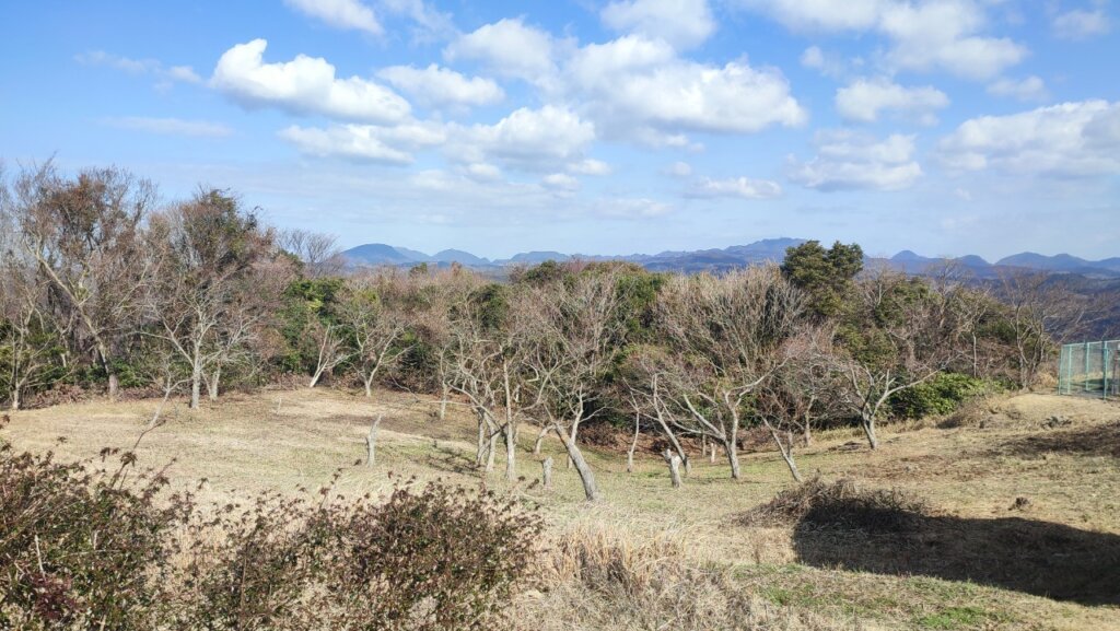 横岳自然公園 17番サイトからの眺望
