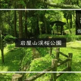 岩屋山渓桜公園 メイン画像