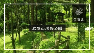 岩屋山渓桜公園（佐賀県）詳細レポ＆レビュー