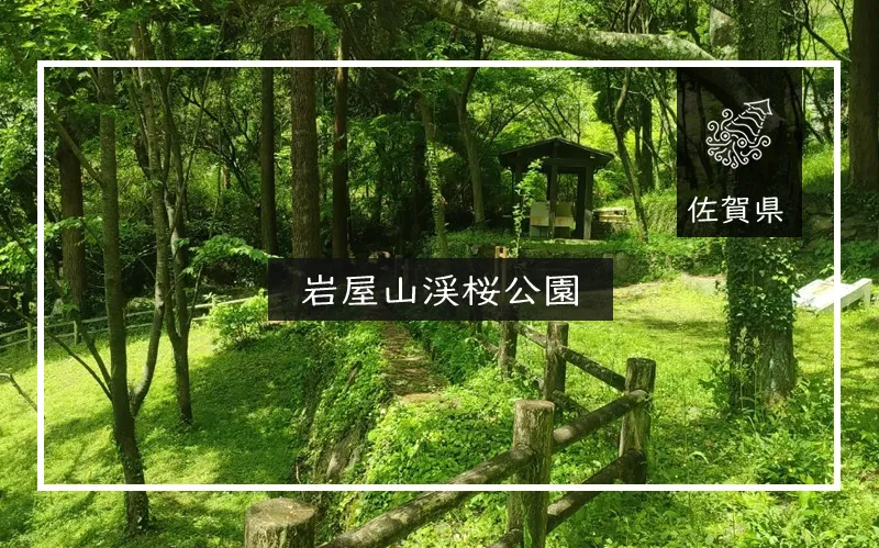 岩屋山渓桜公園 メイン画像