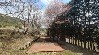 焚き火キャンプ場 Kakoi（大分県）詳細レポ＆レビュー