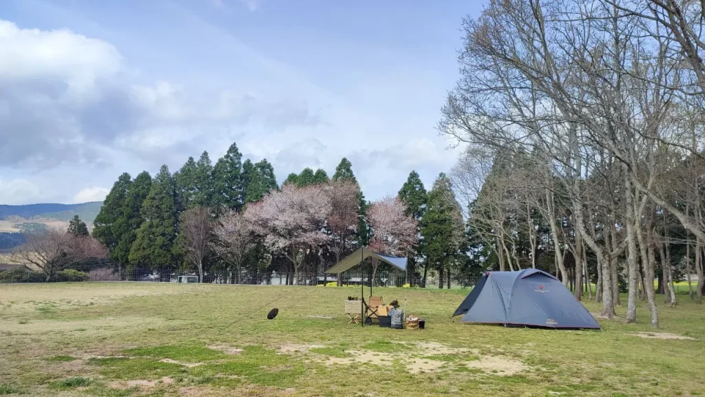 熊谷牧場・雛戸ブルーベリー・キャンプガーデン クヌギの木の前のエリア