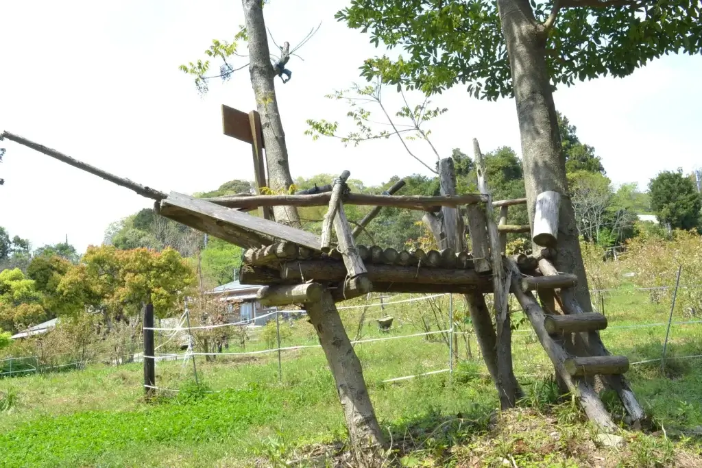 すまーと農園 えころっじ杵築キャンプ場船の形を模した小さなツリーハウス