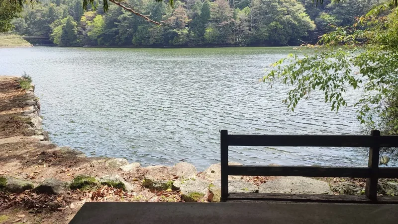 広川原キャンプ場　湖畔付近のベンチからの眺め