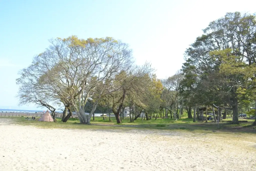 糸ヶ浜海浜公園 キャンプ場 テントサイト