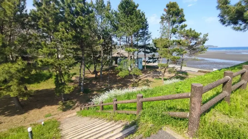 糸ヶ浜海浜公園 キャンプ場 A-1横にある梅までの階段
