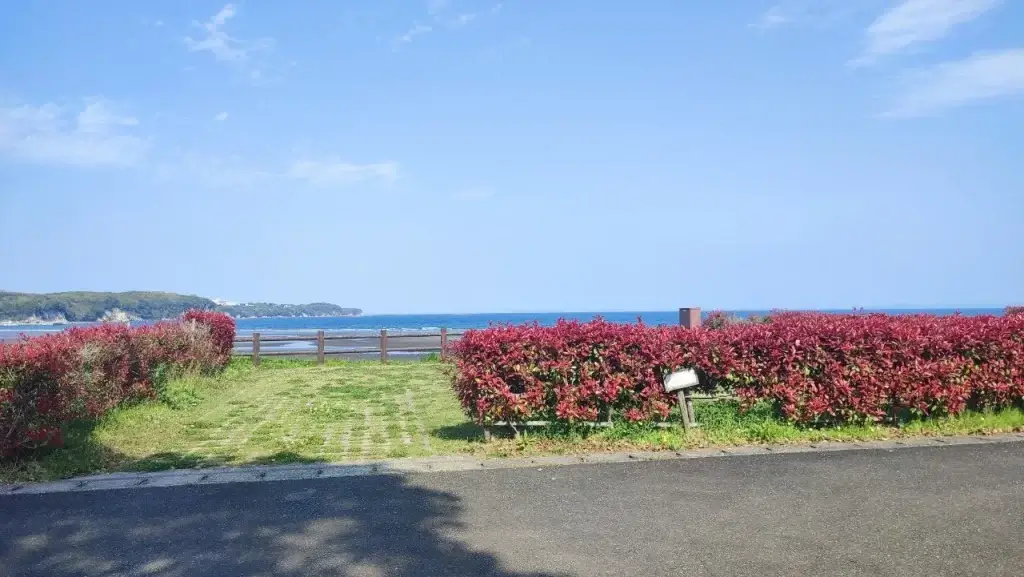 糸ヶ浜海浜公園 キャンプ場 A-2