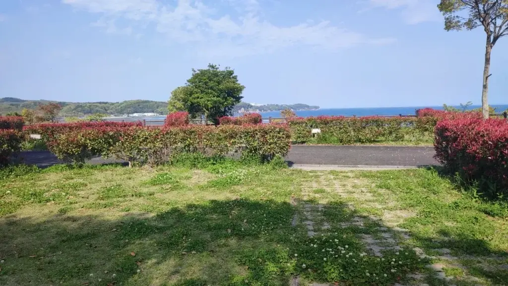 糸ヶ浜海浜公園 キャンプ場 B-8からの景色