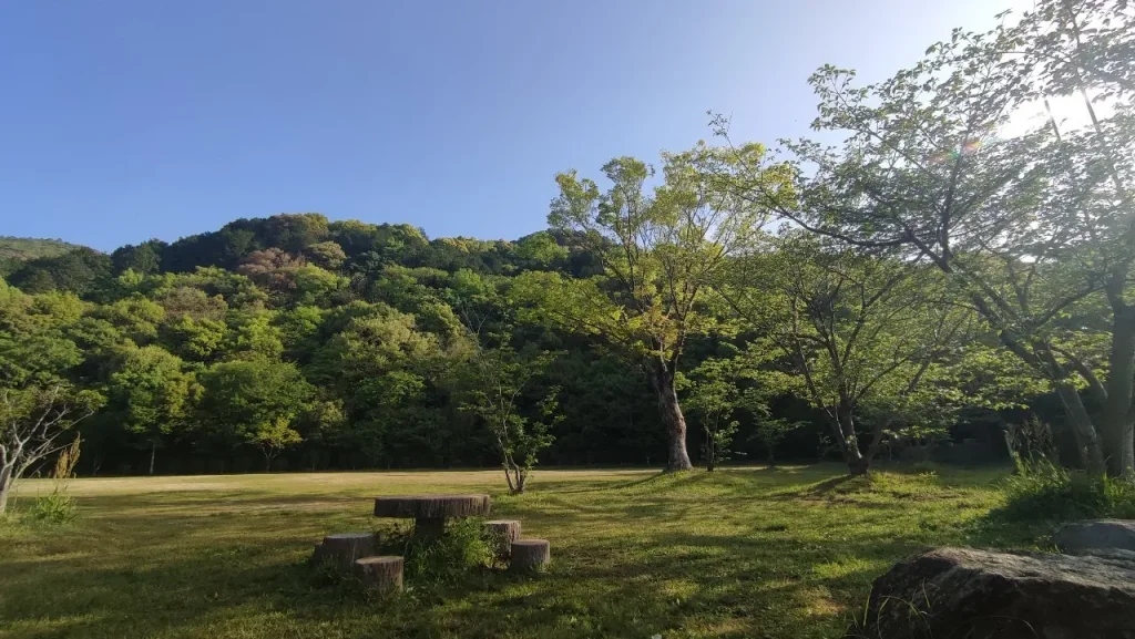 佐賀市立 金立教育キャンプ場 多目的広場の全体の眺め