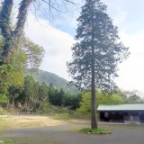 中山キャンプ場