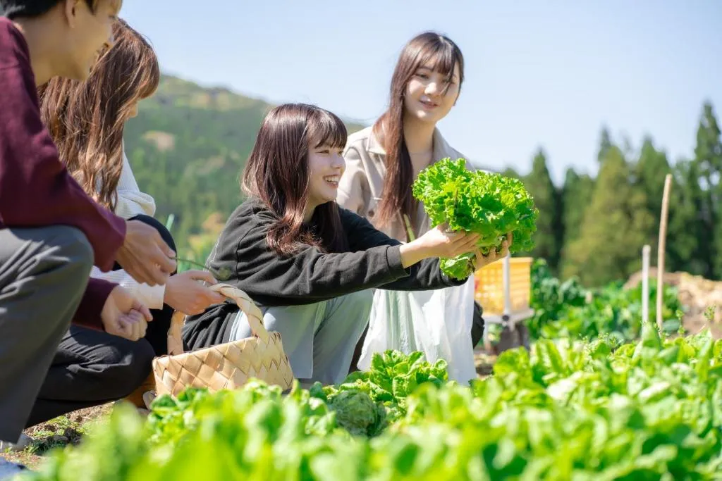 分校Stay haruhiの農園で収穫体験