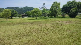 辻河原公園キャンプ場（大分県）詳細レポ＆レビュー