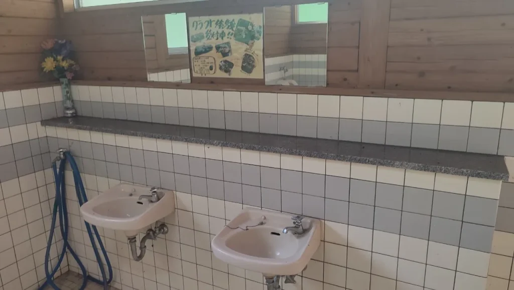 蜂之巣キャンプ場 男性トイレの手洗い場