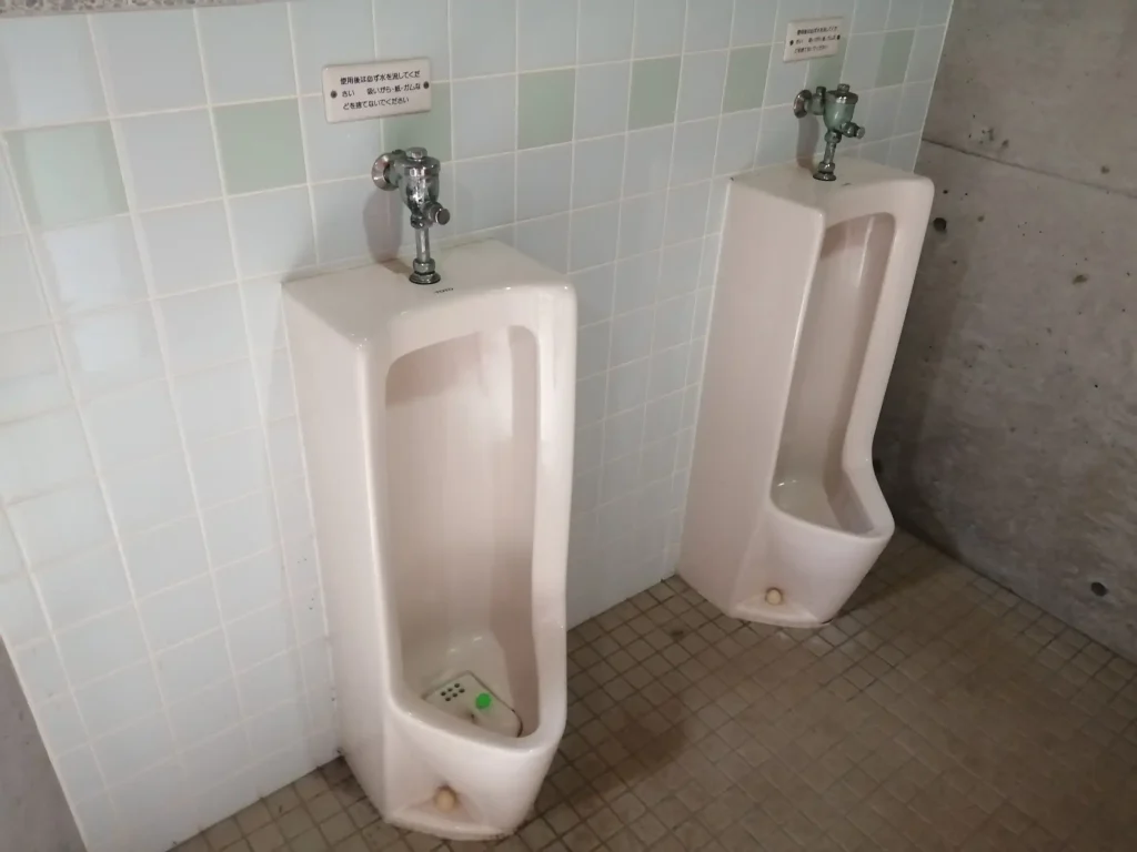 鹿児島県県民の森丹生附オートキャンプ場 つばき村付近の男性トイレ（小便器）