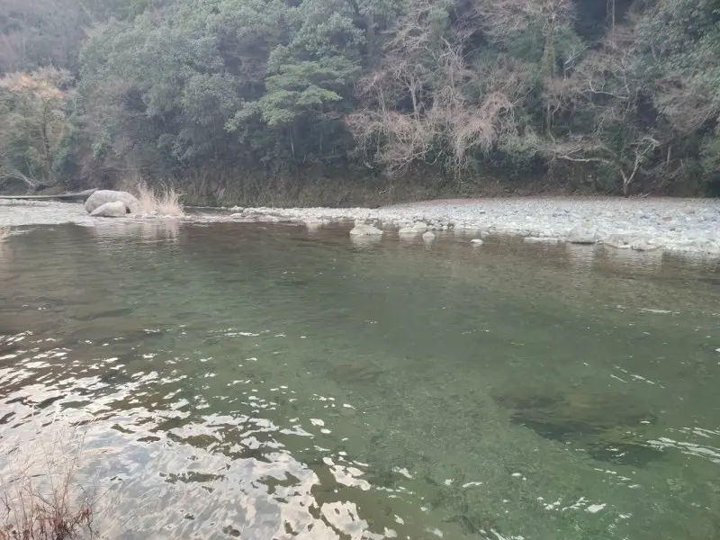 中岳キャンプ場　川遊び・川釣り