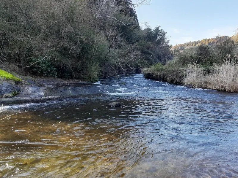 秘湯 ながの湯キャンプ場　キャンプサイト（下段）付近の川