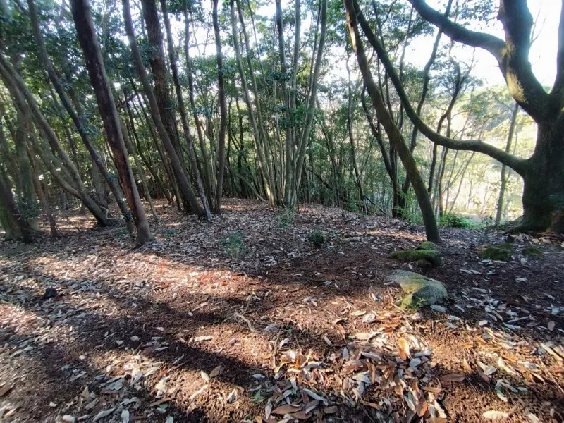 三瀬base camp　ソロ専用エリア