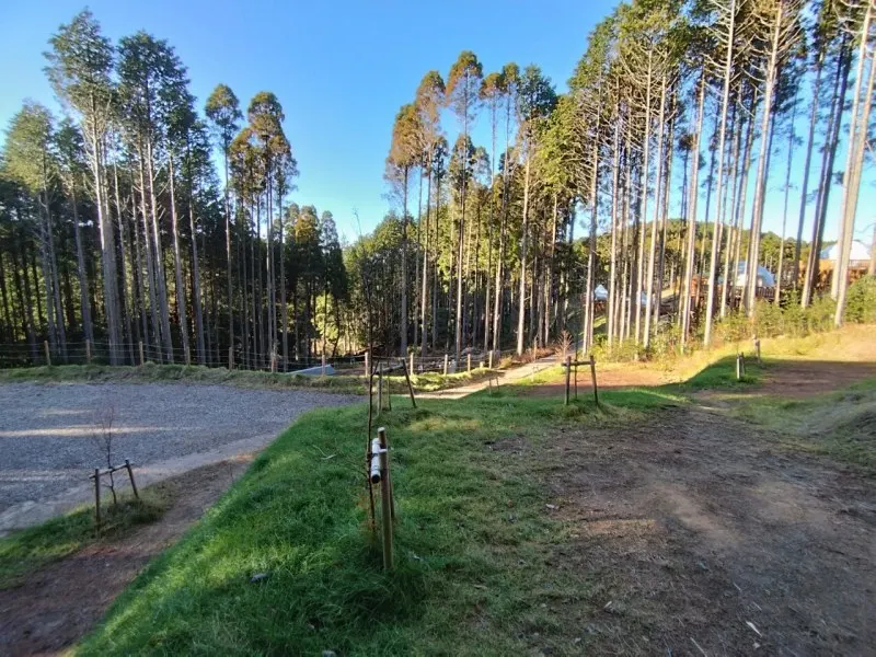 三瀬base camp　芝生エリア全体