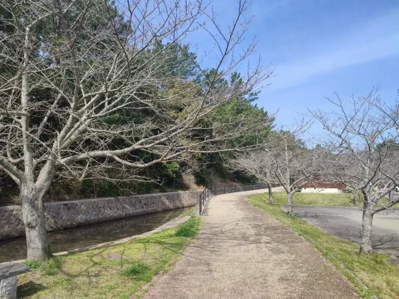 野田浜キャンプ場　遊歩道