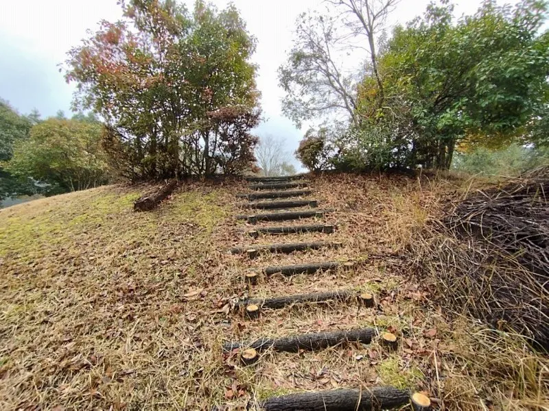 うめキャンプ村そらのほとり　ファイヤーサークルまでの道のり