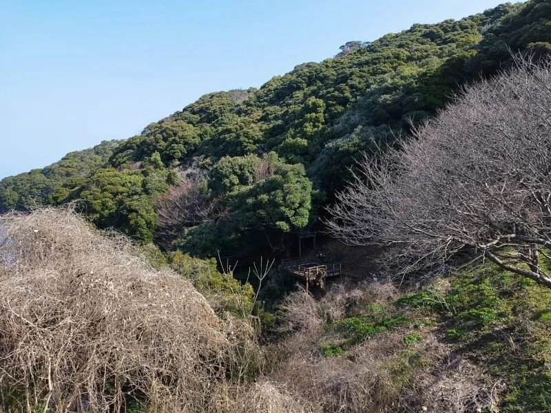 崎野自然公園　デッキサイトの様子