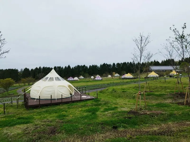 くじゅう花公園キャンプ場　グランピングの様子