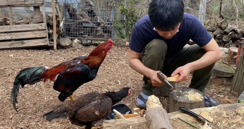 ハニーガーデン瑞梅寺キャンプ場ニワトリ小屋